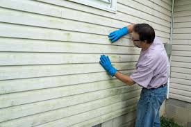 Affordable Siding Repair and Maintenance Services in Ville Platte, LA